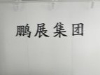 鹏展集团
